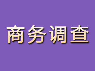 洛隆商务调查